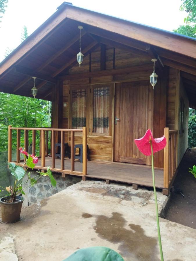 Hotel Diyaluma View Cotage à Koslanda Extérieur photo
