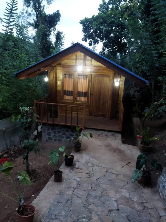 Hotel Diyaluma View Cotage à Koslanda Extérieur photo