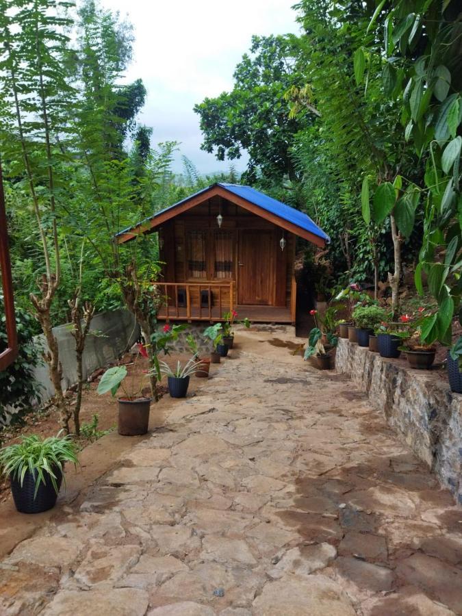 Hotel Diyaluma View Cotage à Koslanda Extérieur photo